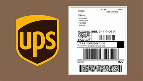 Can UPS Print Shipping Labels: A Journey Through the Maze of Modern Logistics