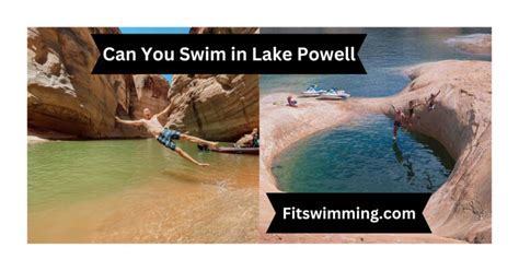 Can You Swim in Jenny Lake? Exploring the Depths of Possibility and Beyond