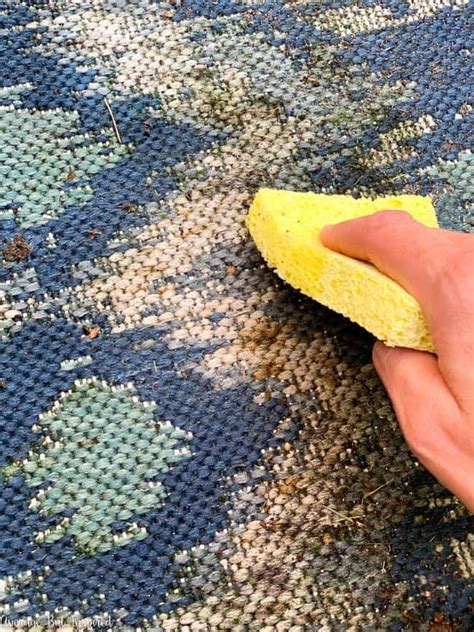 How to Clean Outdoor Rug with Mildew: A Comprehensive Guide and the Curious Case of Moldy Picnics