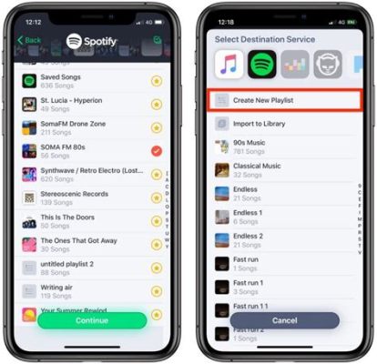 How to Transfer Playlists from Apple Music to Spotify: A Journey Through Digital Melodies and Cosmic Playlists